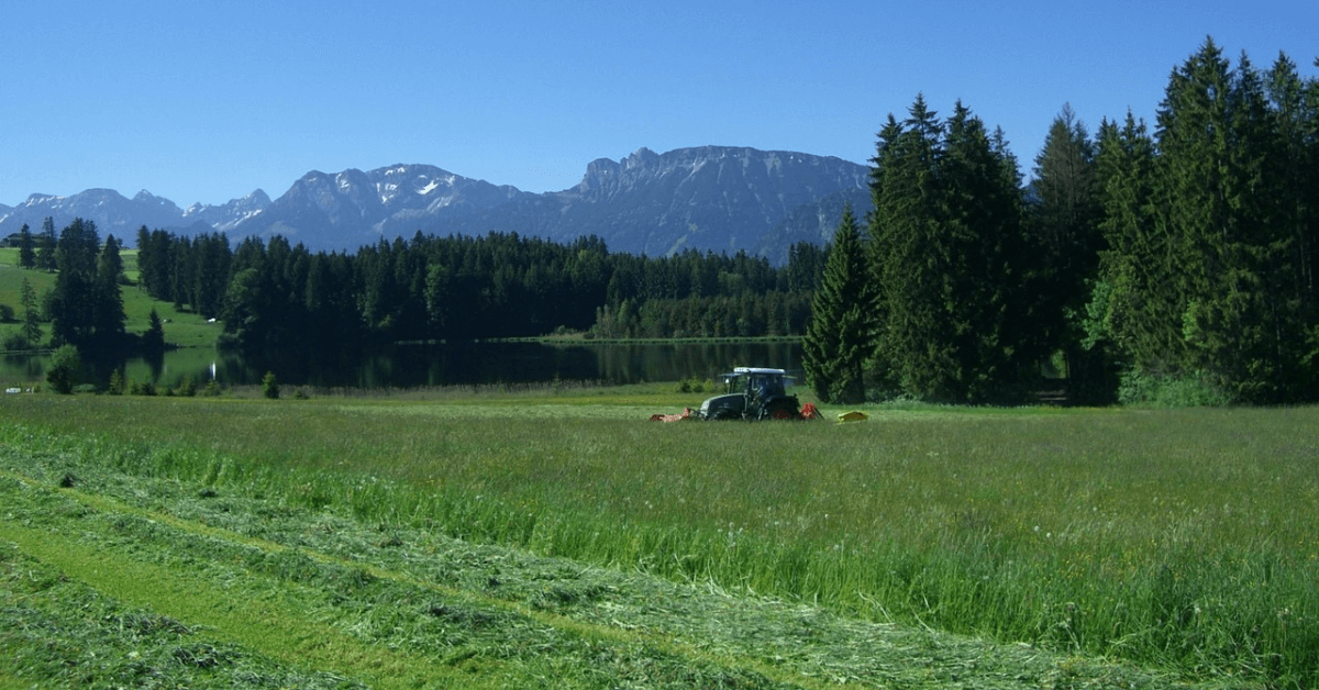 Use Caution for Wildlife While Cutting Hay